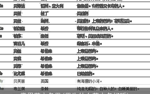 常用英文名男(男生什么英文名好听)