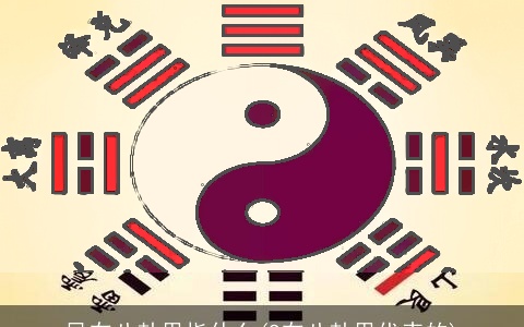 风在八卦里指什么(9在八卦里代表的)