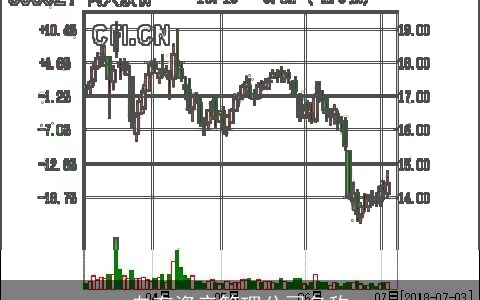 自有资产管理公司名称