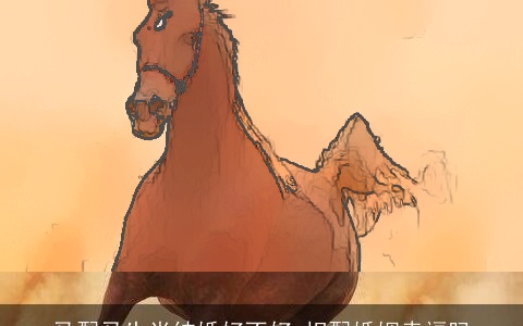 马配马生肖结婚好不好 相配婚姻幸福吗