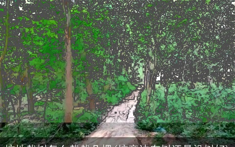 坟地栽树怎么栽栽几棵(坟旁边有树还是没树好)