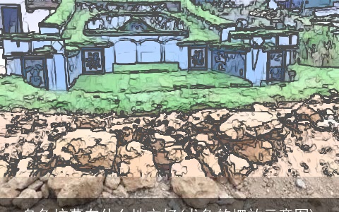 乌龟坟墓在什么地方好(龙龟的摆放示意图)