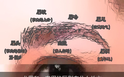 龙眉和一字眉的区别在什么地方