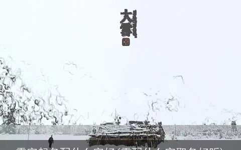 雪字起名配什么字好(雪配什么字取名好听)