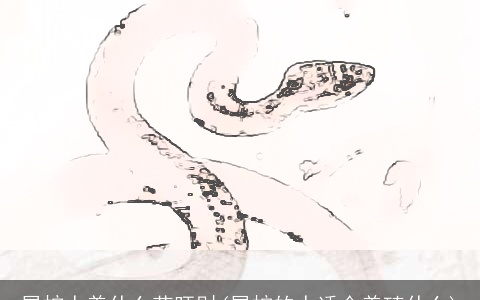 属蛇人养什么花旺财(属蛇的人适合养殖什么)