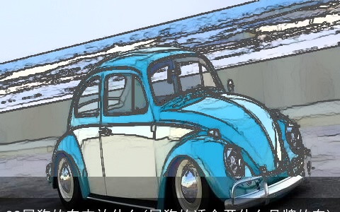 82属狗的车内放什么(属狗的适合开什么品牌的车)