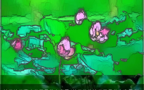 梦见摘莲蓬吃莲子是什么意思(梦见莲花摘莲子是什么意思啊)