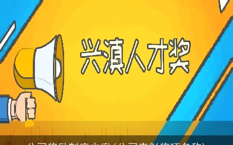 公司奖励制度方案(公司表彰奖项名称)