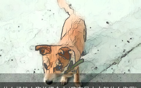 什么样的土狗长得个大(狗在风水中起什么作用)