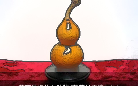 葫芦是指什么动物(葫芦是干嘛用的)