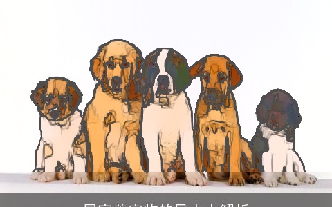 居家养宠物的风水大解析