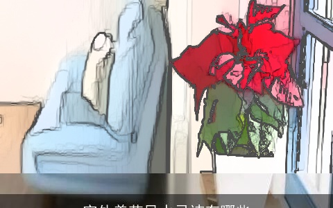 室外养花风水忌讳有哪些