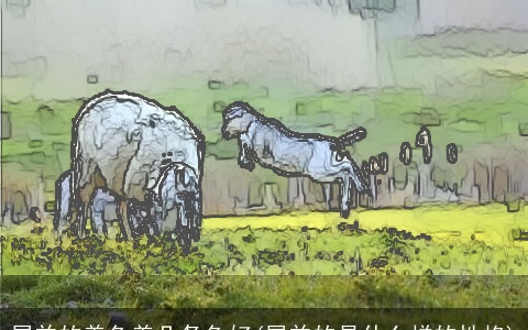 属羊的养鱼养几条鱼好(属羊的是什么样的性格)