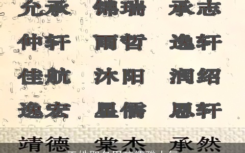 王姓取名男孩儒雅大气