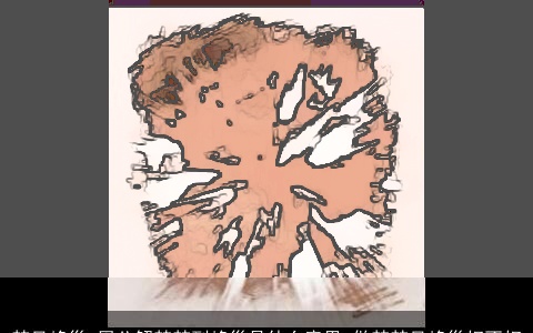 梦见蜂巢_周公解梦梦到蜂巢是什么意思_做梦梦见蜂巢好不好