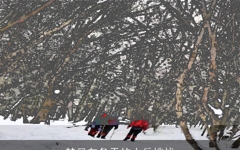 梦见向冬天的山岳挑战