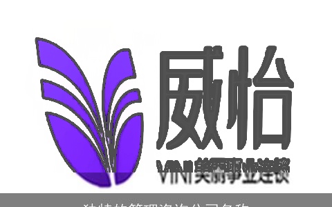 独特的管理咨询公司名称