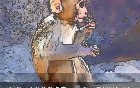 猴年缺土的男孩名字大全(猴是五行属什么)