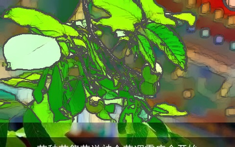 芒种节祭花送神众花凋零庙会开始