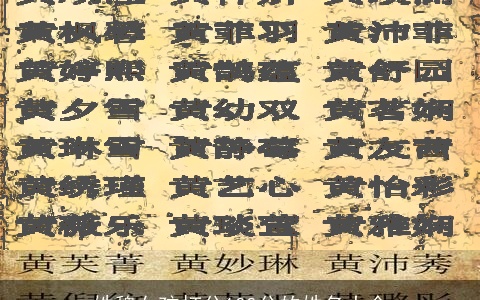 姓魏女孩打分100分的姓名大全