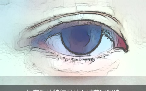 桃花眼的特征是什么桃花眼解读