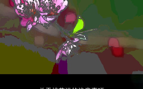 关于桃花运的注意事项