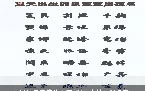 属鼠的名字带什么字好(属牛姓杜起名字)