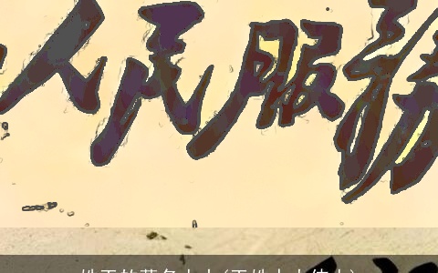 姓王的著名人士(王姓十大伟人)