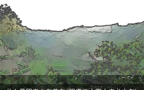 什么是阴宅立向兼向(阴宅二十四山来龙立向)