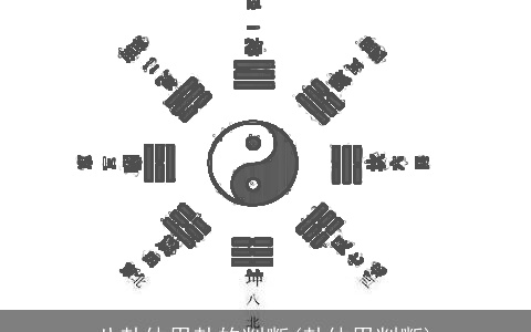 八卦体用卦的判断(卦体用判断)