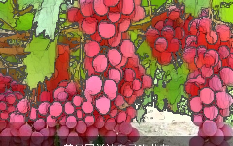 梦见同学请自己吃葡萄