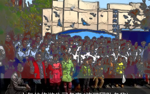 大气的旅游公司名字(旅游团队名称)