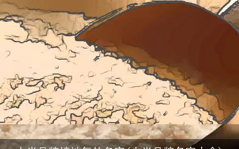 大米品牌接地气的名字(大米品牌名字大全)