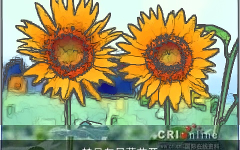 梦见向日葵花开