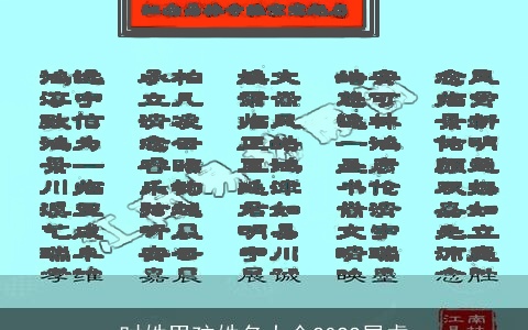 时姓男孩姓名大全2022属虎