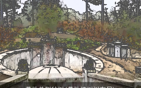 墓地单侧种树(墓地植树树布局)