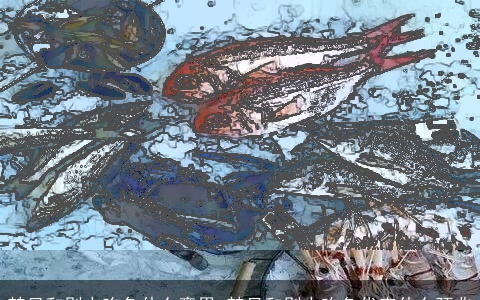 梦见和别人吃鱼什么意思 梦见和别人吃鱼代表什么预兆