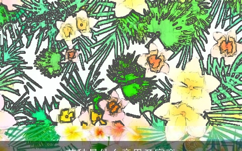 芒种是什么意思及寓意