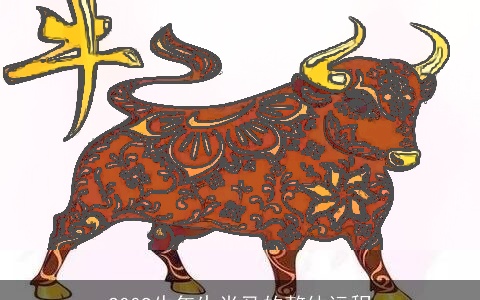 2009牛年生肖马的整体运程