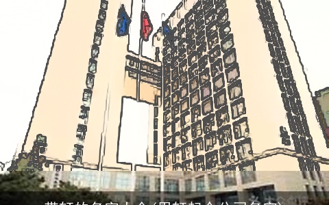 带轩的名字大全(用轩起个公司名字)