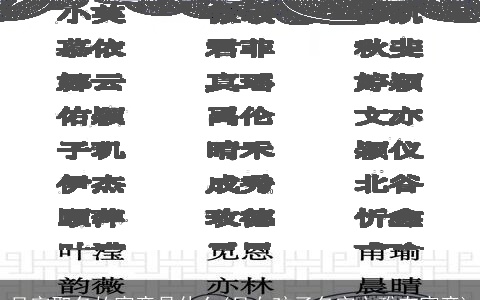 吴字取名的寓意是什么(吴女孩子名字文雅有寓意)