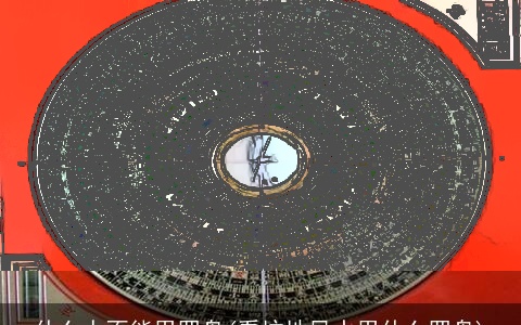 什么人不能用罗盘(看坟地风水用什么罗盘)