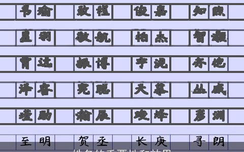 姓名的重要性和效果