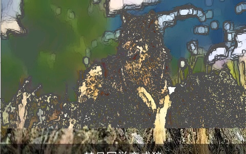 梦见同学变成狼