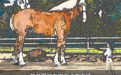 某马男孩名字西式有内涵