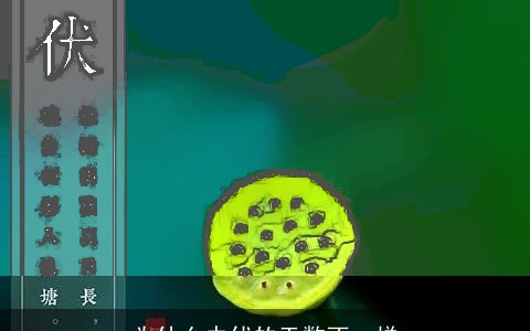 为什么中伏的天数不一样