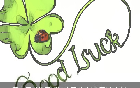 英文字母代表好运的字母(26个字母风水)