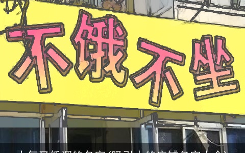 大气又低调的名字(吸引人的店铺名字大全)