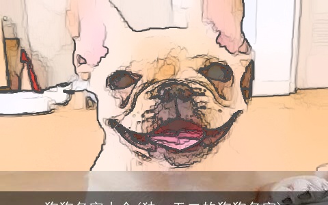 狗狗名字大全(独一无二的狗狗名字)