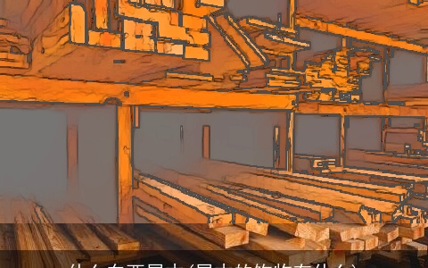 什么东西属木(属木的饰物有什么)